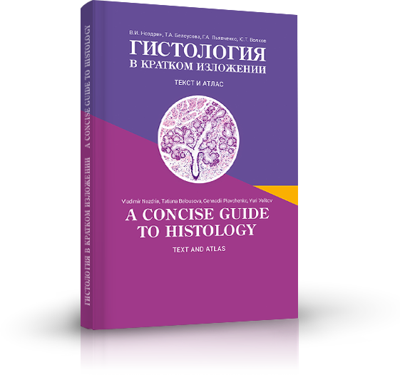 Book «A Concise Guide To Histology: Text And Atlas»